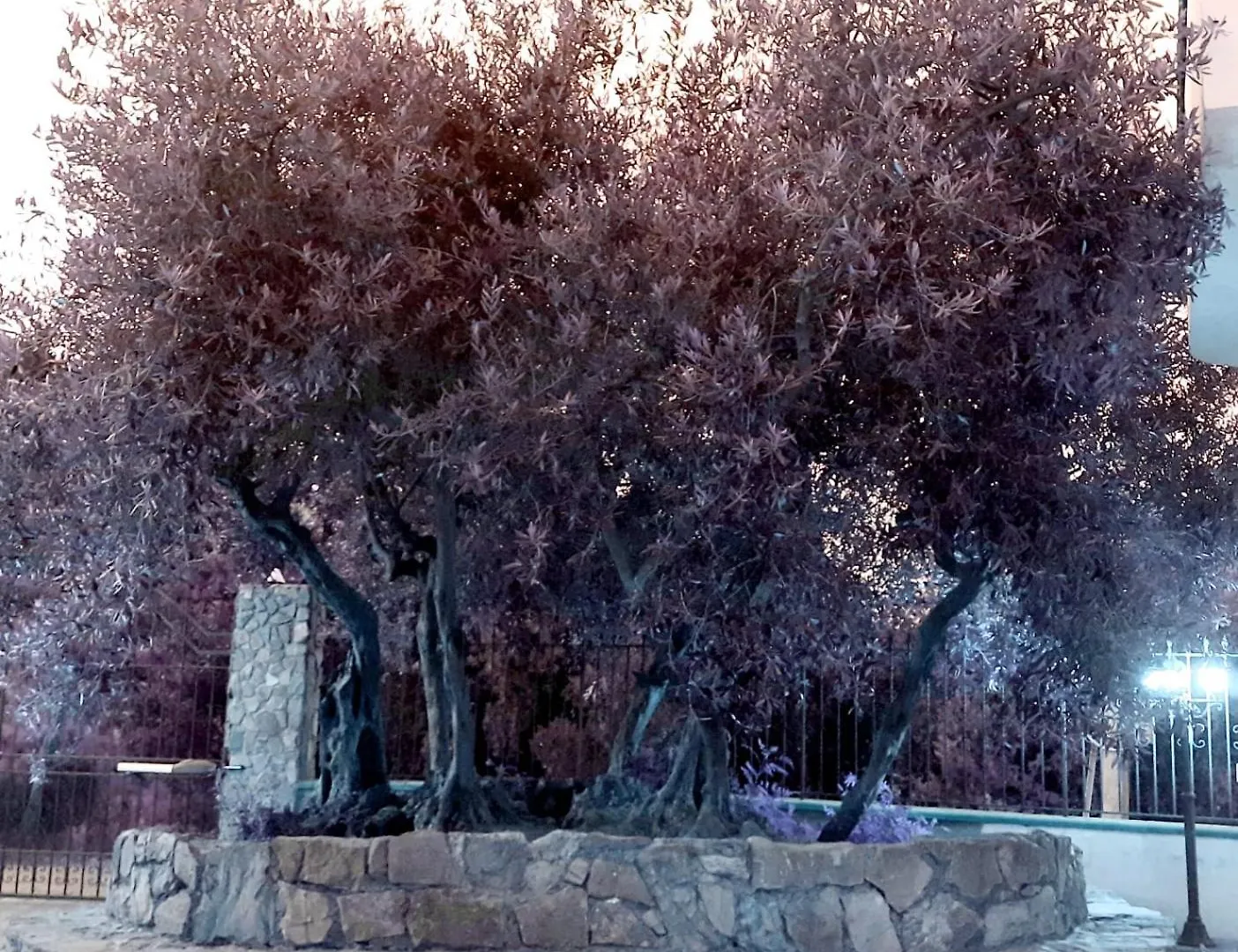 Menzel El Emir Villa Misilmeri Holiday home